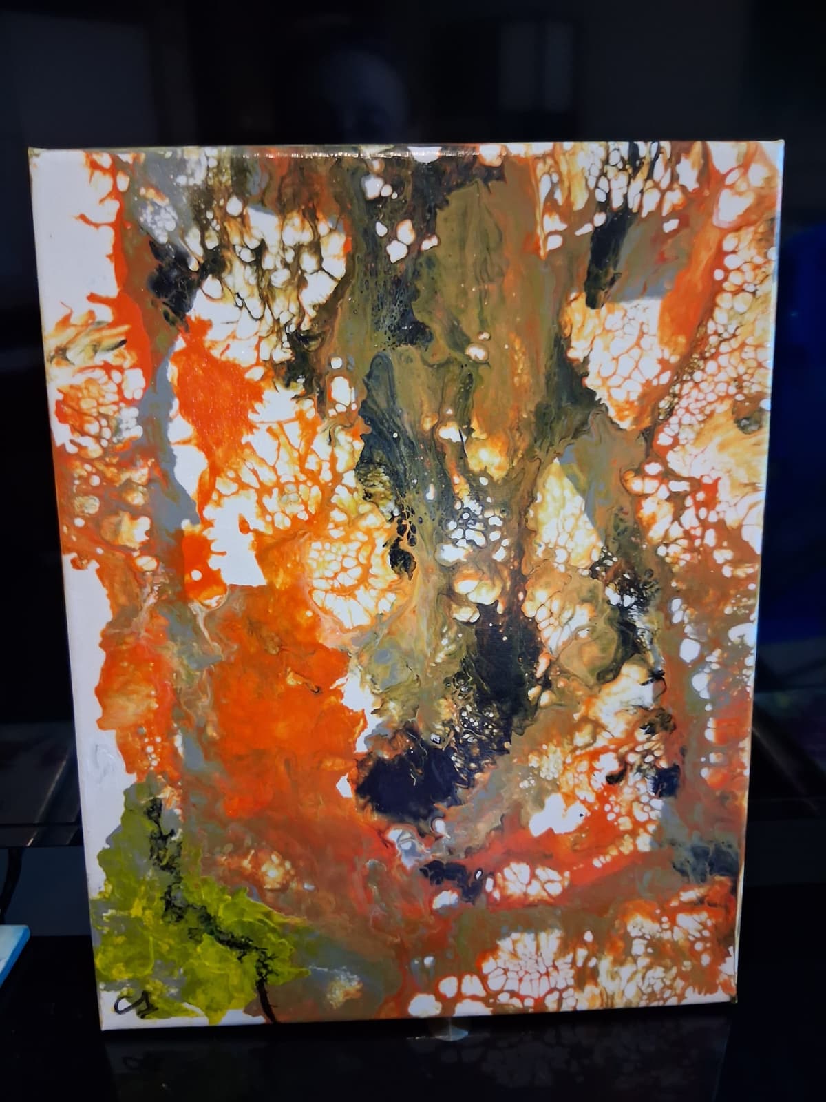 Moss & Lichen